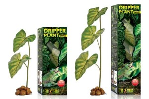 Dripper Plant